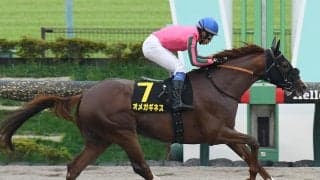 【競馬予想】群雄割拠のフェブラリーＳ　国内ダート頂上決戦に備えてきた実力馬たちを脅かす伏兵候補