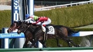 【阪神4R新馬戦結果】ルヴァンスレーヴ産駒エイコーンドリームが人気2頭の競り合いを制す