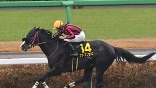 【競馬予想】今年最初のＧⅠ、フェブラリーＳで注目すべき血統は？　レースと相性がよさそうな２頭に期待