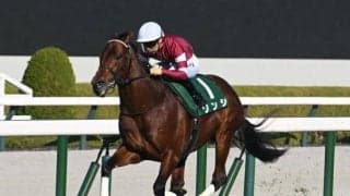 【阪急杯結果】約1年ぶりのソンシがレコードで圧勝！ 重賞初制覇