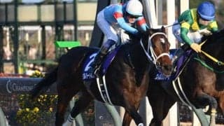 【フェブラリーS予想】東京ダート1600mの重賞は牝馬が苦戦!? 人気の一角に立ちはだかる好走を阻む消去法データとは