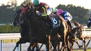 【小倉大賞典予想】前走大敗は現状の能力!? 戦歴や過去の傾向から過剰人気な印象を受ける1頭とは