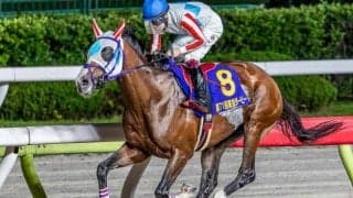 東京ダートは脚質不問 フェブラリーSは単騎逃げのナチュラルライズに要注目