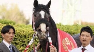 2月22日開催のフェブラリーS 2枠の成績は？