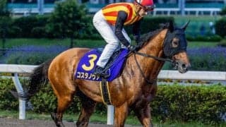 霜降り明星・粗品はコスタノヴァを信頼 3連単で勝負だ