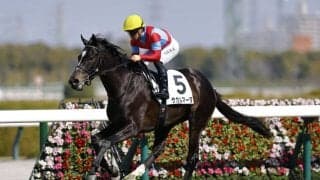 【阪神6R】5億円ホースのサガルマータが初勝利