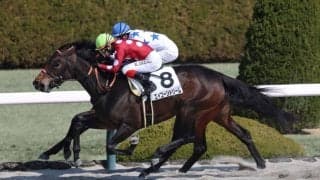 【新馬/阪神4R】ルヴァンスレーヴ産駒 エイコーンドリームがデビューV