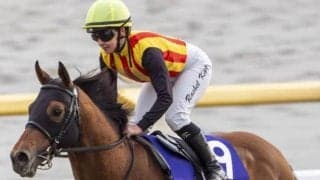 近年は芝重賞馬の好走目立つ フェブラリーSは“芝実績”がポイントか