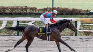 【フェブラリーS予想】今年のGI戦線が幕開け JRAの上半期ダート王者に輝くのは