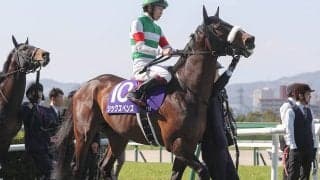 【競馬予想】フェブラリーＳは人気のダブルハートボンドが有力　同馬との組み合わせでも好配当が見込める穴馬２頭