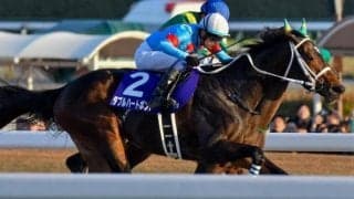 【フェブラリーS・馬体重】ダブルハートボンドは476kg(+2)、コスタノヴァは488kg(-4)