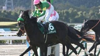 【JRA・WIN5】本日のWIN5は的中3590票、配当21万5180円