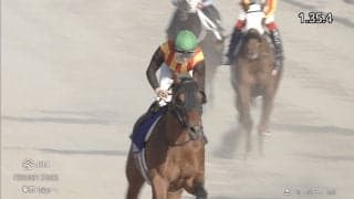 「強すぎ」昨年はキング、今年はルメール！ 連覇で東京ダート8戦7勝コスタノヴァにファンドン引き「よほど合うんだな」【フェブラリーS】