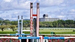 【新馬/阪神4R】ゼンカイナダルがデビューV！5馬身差圧勝