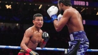 【ボクシング】平岡アンディ、世界初挑戦での王座獲得逃す　ラッセル攻略できず判定負け