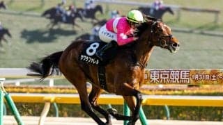 【JCベストレース記念】R.キングが今年の16勝目…サクラファレルで完勝