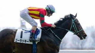 【東京5R】キタサンブラック産駒 ゴーラッキーがデビュー2連勝