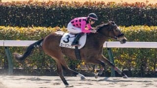 【新馬/東京3R】アジアエクスプレス産駒 ローズブーケがデビューV