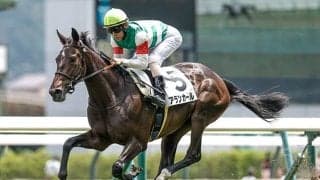 【チューリップ賞】アランカール、コニーアイランドらが登録