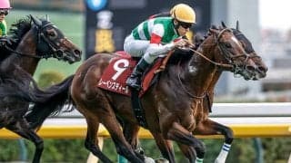 【中山記念】レーベンスティール、カラマティアノスらが登録