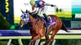 【浦和・ユングフラウ賞枠順】4連勝中のアンジュルナは8枠12番