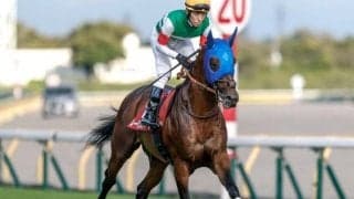 中山記念、チューリップ賞など3重賞/今週の競馬界の見どころ