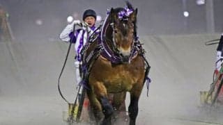 【ばんえい・チャンピオンカップ】メムロボブサップが重賞26勝目…重賞最多勝利数＆通算収得賞金記録更新