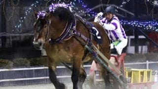 メムロボブサップが二冠の大記録！最高賞金＆重賞最多勝を同時更新でばんえい史に新たな金字塔