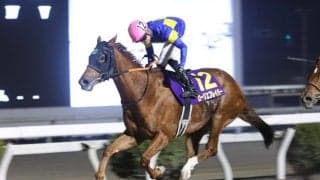 【高知・レジーナディンヴェルノ賞】大井ローリエフレイバーが重賞4勝目