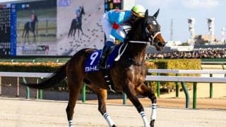 【フェブラリーS】1番人気ダブルハートボンドは3着…坂井瑠「改めて力を感じた」レース後ジョッキーコメント