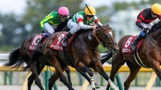 【中山記念登録馬】重賞4勝レーベンスティールなど17頭