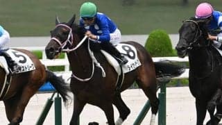 【チューリップ賞見どころ】レースキャリア豊富のタイセイボーグに注目