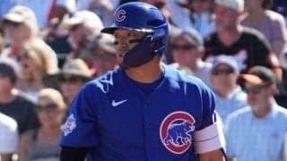 日本早朝に「一生語り継がれるレベルの珍」　鈴木誠也を襲った“まさか”が「運悪すぎ」