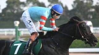 【先週のJRA抹消馬】重賞2勝のヤマニンサルバム、25年シルクロードS覇者のエイシンフェンサーなど