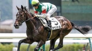 【チューリップ賞想定騎手】アランカールは武豊騎手、コニーアイランドは川田騎手