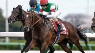 【中山記念想定騎手】レーベンスティールは戸崎騎手、エコロヴァルツは横山武騎手