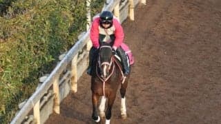 バルセシートなど、先週の入厩情報/栗東トレセンニュース