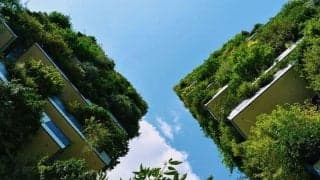 スマホに依存しすぎていませんか？デジタルデトックスのメリットを現役医師が話します