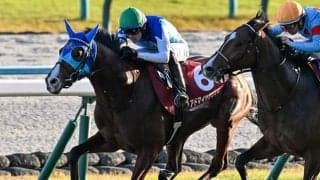 【弥生賞想定】アドマイヤクワッズやパントルナイーフなど11頭