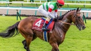 【中山記念】史上2頭目の偉業に挑戦 レーベンスティールが4年連続GII制覇なるか