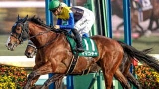 【オーシャンS出走馬・騎手確定】ママコチャ＆川田将雅騎手、ルガル＆鮫島克駿騎手など16頭