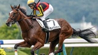 【弥生賞想定馬・騎手】タイダルロック、パントルナイーフなど13頭