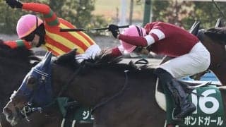 【中山牝馬S想定馬・騎手】ボンドガール、ステレンボッシュなど18頭