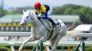 【フィリーズレビュー想定馬・騎手】マルガ、ショウナンカリスなど28頭