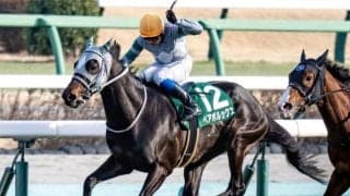 中山芝は逃げ先行馬を狙え オーシャンSはペアポルックスが波乱呼ぶ