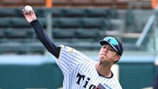 【阪神】ドラ３岡城快生が藤川監督指名で甲子園練習参加「どんどん慣れて、これから学んで」