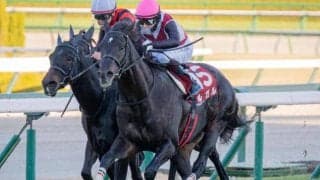 【今日の注目ポイント】オーシャンSにGI馬2頭など好メンバーが集結