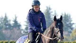 【注目馬動向】きさらぎ賞制したゾロアストロは皐月賞に直行