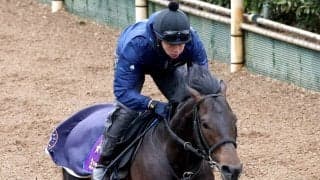 【注目馬動向】ミュージアムマイルはドバイ・ターフでＣデムーロ騎手とコンビ継続