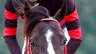 【小倉４Ｒ・４歳上障害未勝利】４・１億円のホウオウプロサンゲが初障害で３秒差の大差勝ち！障害の最高額勝利記録を更新